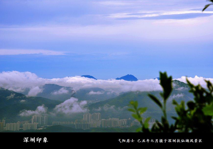 潮人新知·前沿发现 | 2024年是太阳活动“大年”,贵州发现新种“荔波金丝桃”